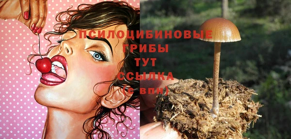 меф Абдулино