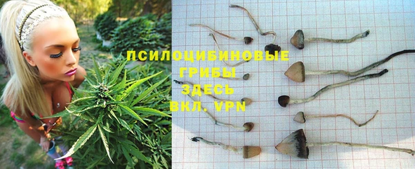 прущий лед Алексин