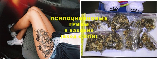 герыч Арсеньев